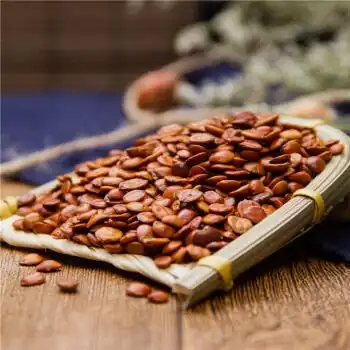 Is Semen Ziziphi Spinosae Extract Effective for Anxiety or Stress Relief?
